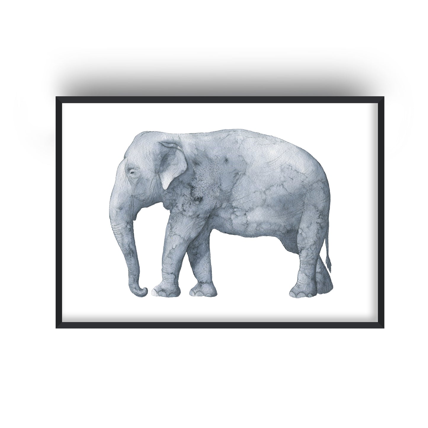 Elephant Watercolour Print